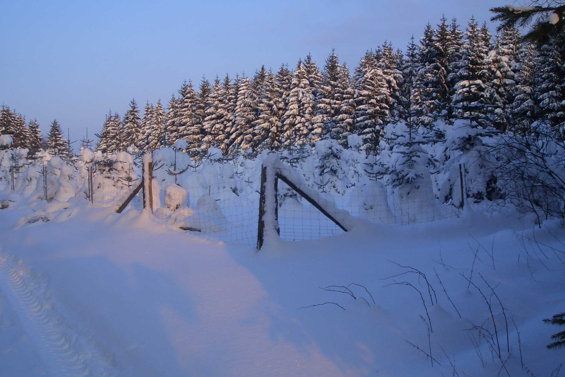 Winter in Faulebutter © Foto: Landgasthof Rademacher