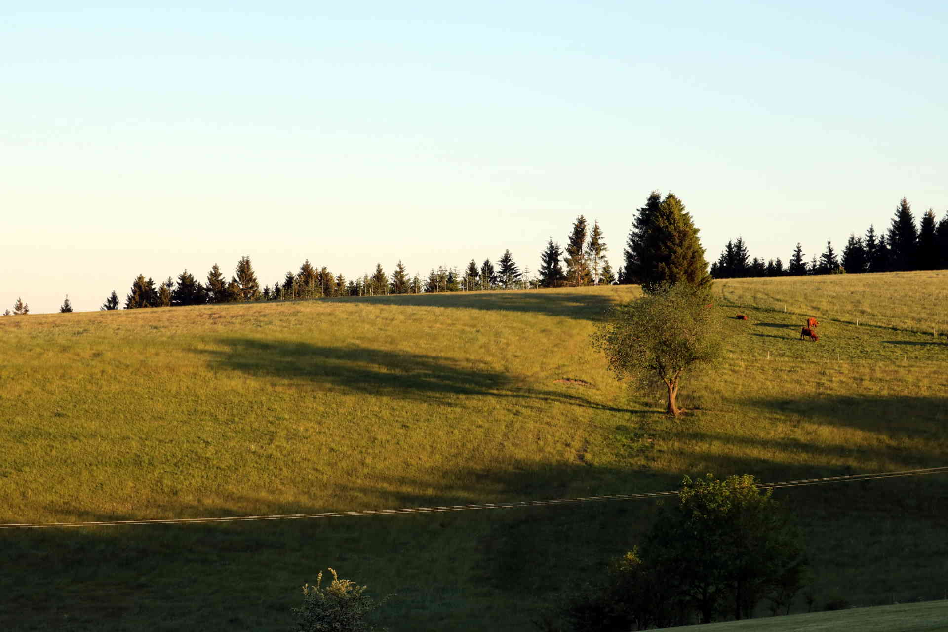 Der Landgasthof Rademacher bietet Nutzern von AlpacaCamping Weitblicke über das Südsauerland